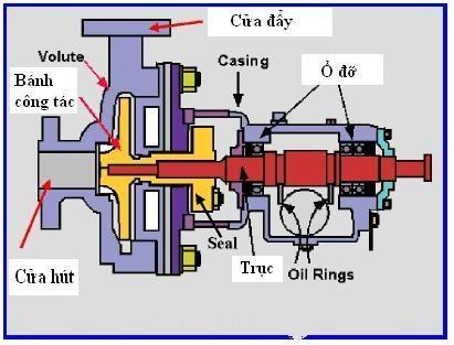 Tìm hiểu về cấu tạo của máy bơm nước
